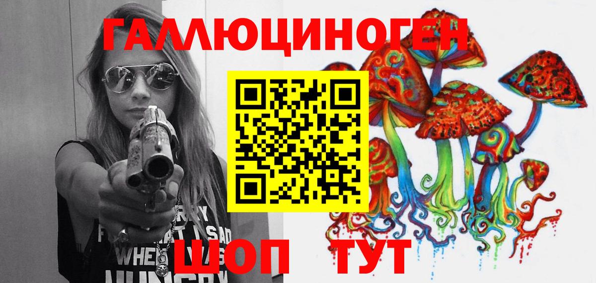 Псилоцибиновые грибы Psilocybine cubensis Артём